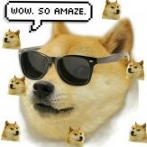 LeDogeyDoge