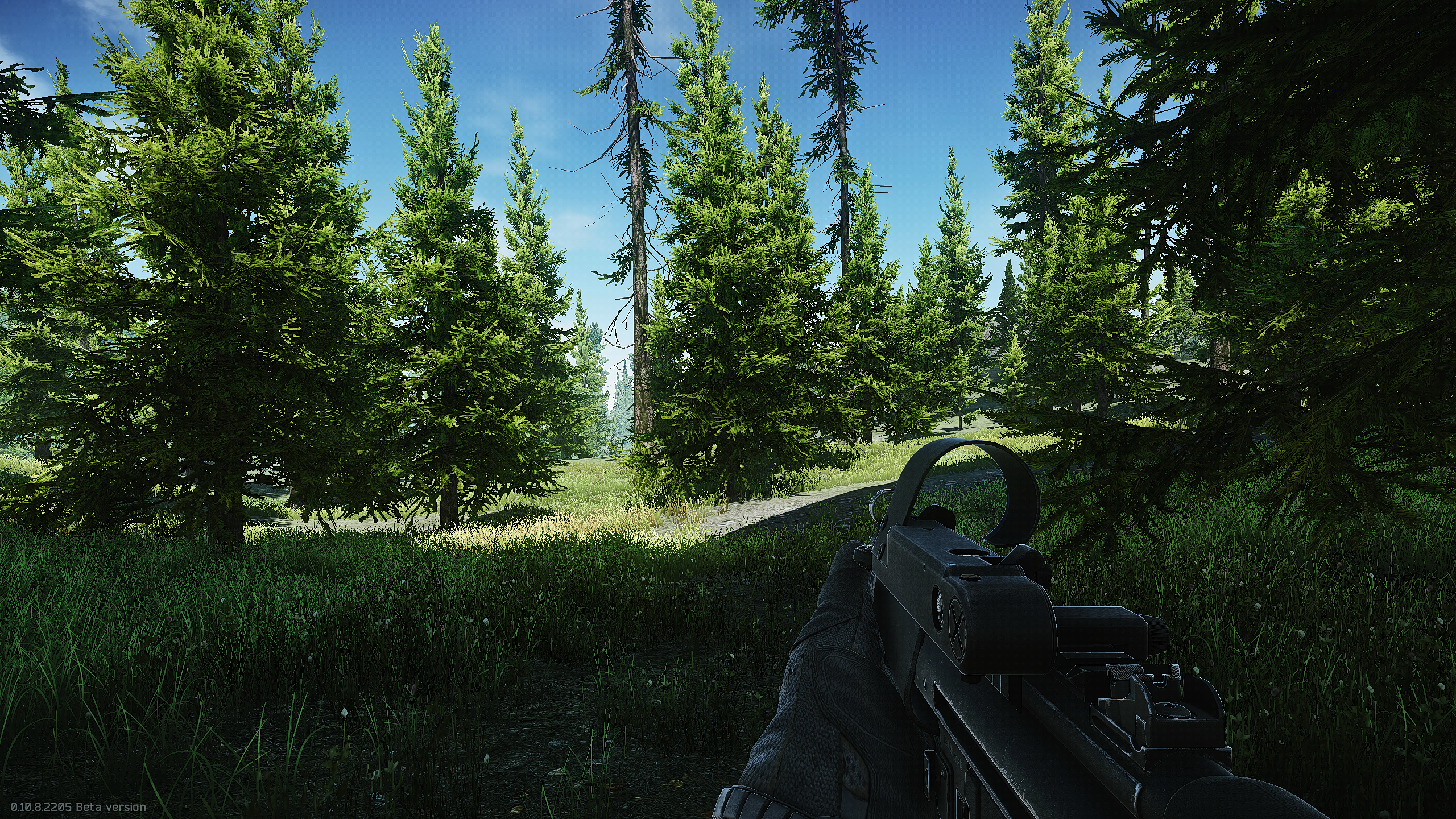 Woods map. Тарков. Тарков лес Скриншоты. Побег из Таркова на рабочий стол. EFT лес фон.