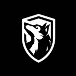 SlySight
