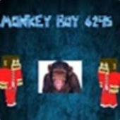 monkeyboy6295