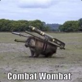 maniacalwombat